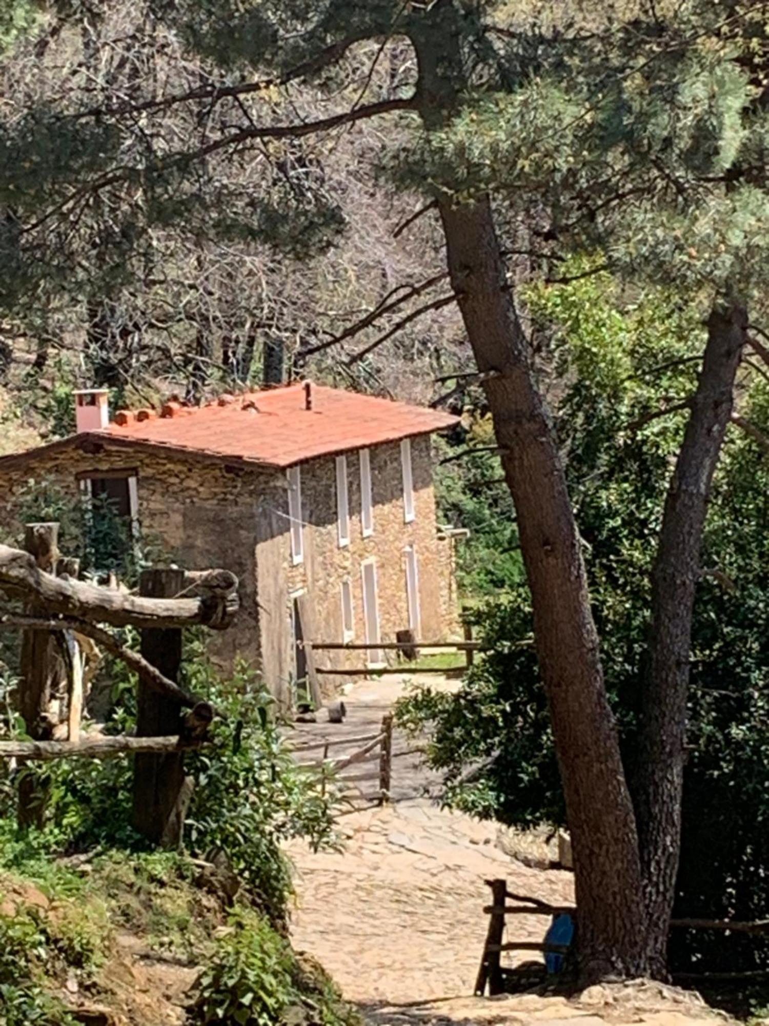 Maison d'hôtes Centro Trekking A Cavallo Monte Brugiana à Massa  Extérieur photo