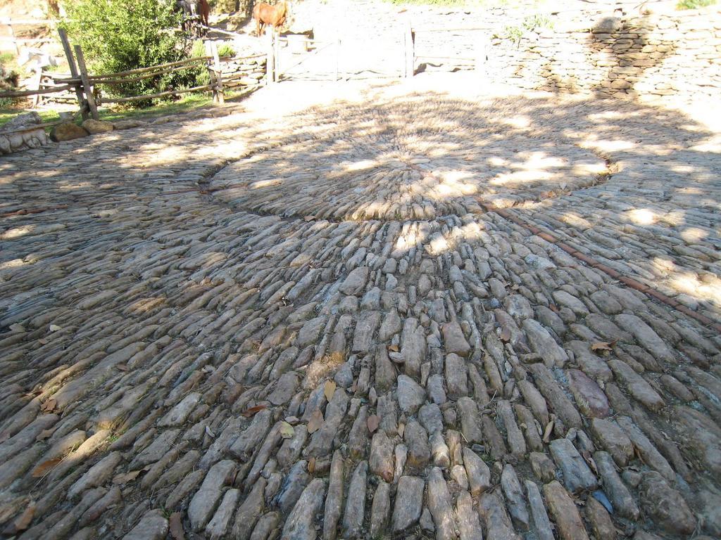 Maison d'hôtes Centro Trekking A Cavallo Monte Brugiana à Massa  Extérieur photo