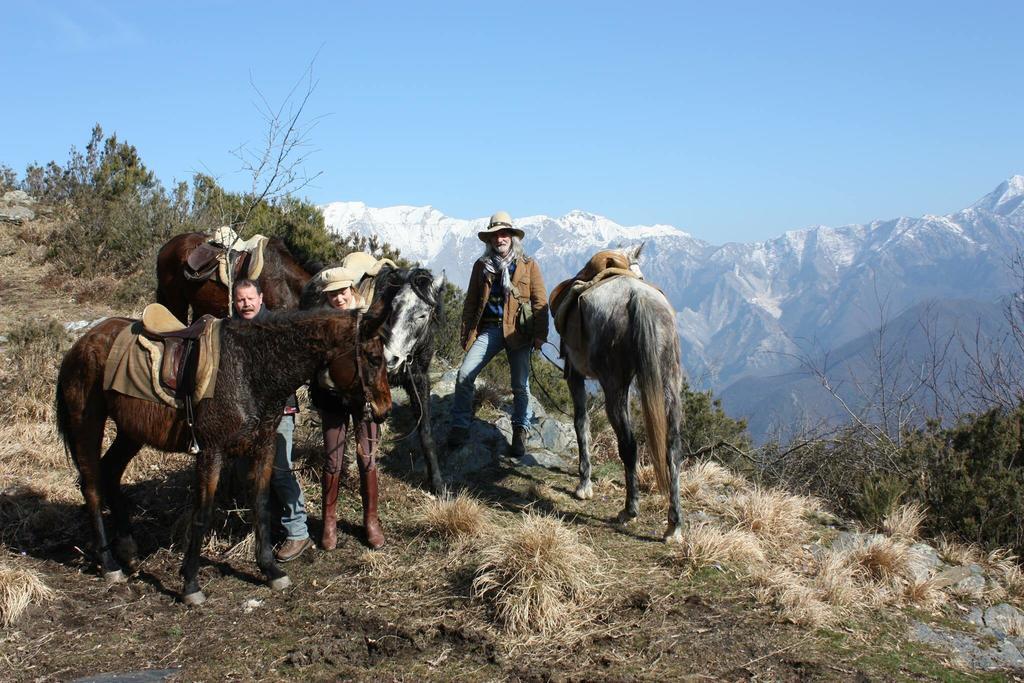 Maison d'hôtes Centro Trekking A Cavallo Monte Brugiana à Massa  Extérieur photo