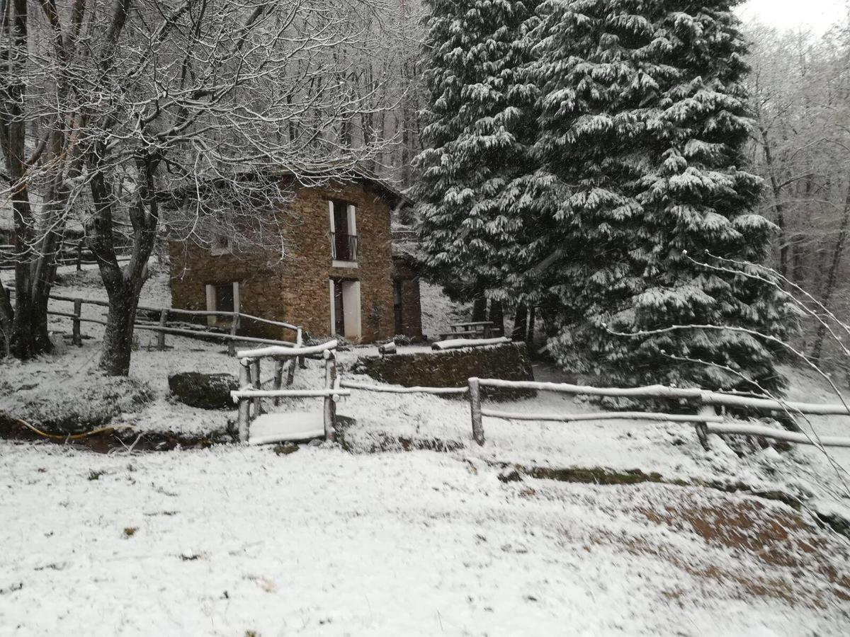 Maison d'hôtes Centro Trekking A Cavallo Monte Brugiana à Massa  Extérieur photo